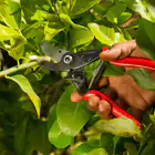 Felco 5 Pruning Shears with Free Size 9 Gloves
